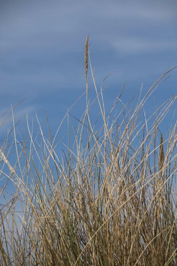 Appartement Zee En Duinzicht 84 Katwijk aan Zee Dış mekan fotoğraf