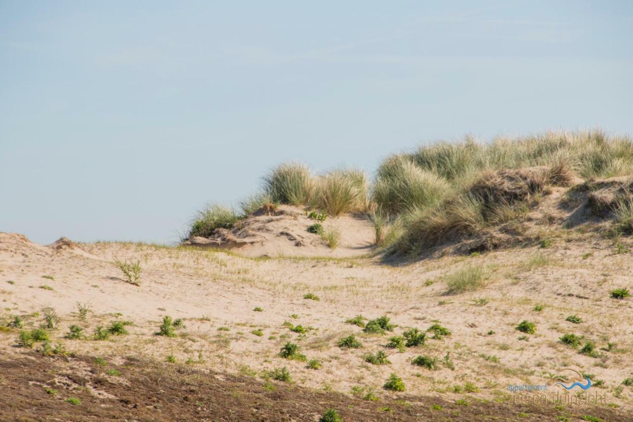 Appartement Zee En Duinzicht 84 Katwijk aan Zee Dış mekan fotoğraf