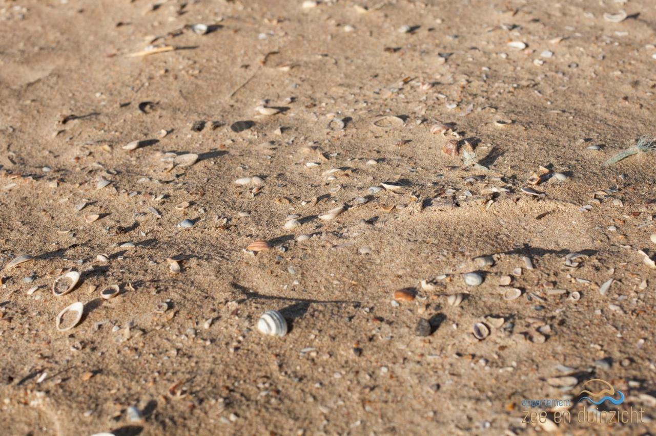 Appartement Zee En Duinzicht 84 Katwijk aan Zee Dış mekan fotoğraf
